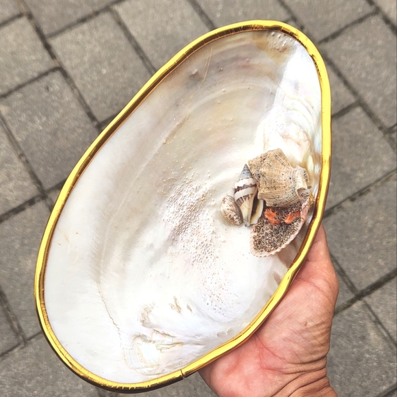 Two's Company Ornamented Cabebe Shell Footed Dish With Brass Trim - Picture 2 of 6